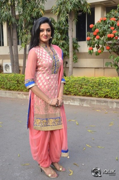 Vimala-Raman-At-Om-Namo-Venkatesaya-Movie-Press-Meet